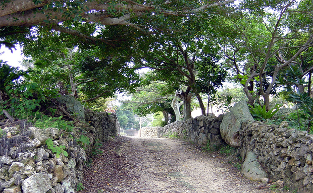 沖縄県竹富島の田舎道